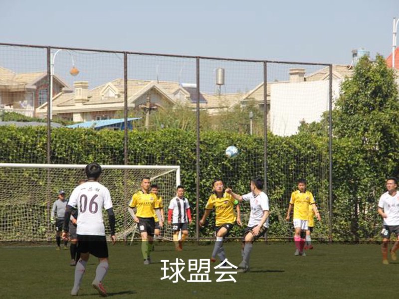 球盟会概况